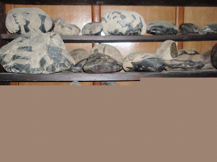 Piedras en una repisa, primer
                                    plano 02