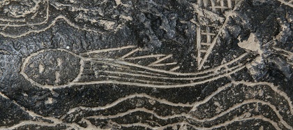 Constelaci�n de una cara con cola