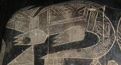 Die Echse, Nahaufnahme