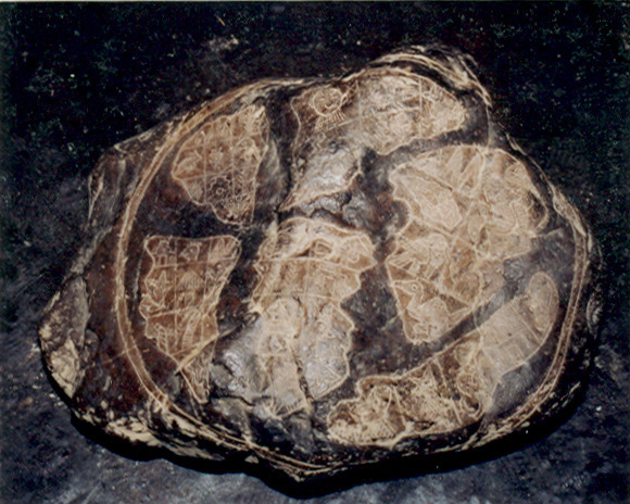 Karte der Plejaden
                          01 (so die Angabe der CD des Museums)