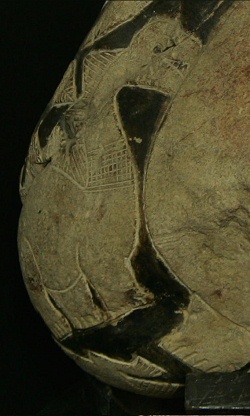 Detail, der kleine Dinosaurier (auch
ein Stegosaurus-Brontosaurus) 02 Detail, der kleine Dinosaurier (auch
ein Stegosaurus-Brontosaurus) 02