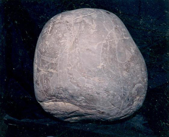 Dinosaur with a native