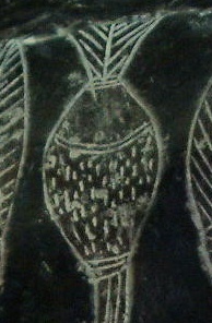 Los
                          instrumentos de la operaci�n, la botella para
                          la infusi�n