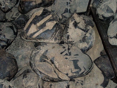 Instrumentos para operaciones,
                            cuchillos