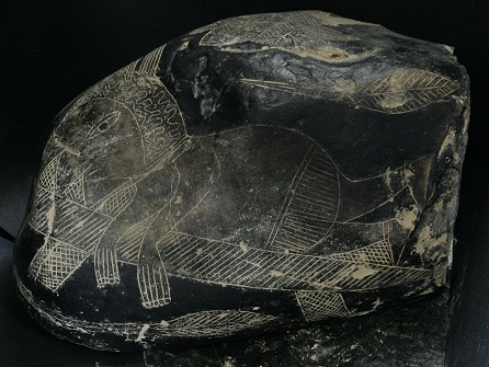 Operaci�n de cabeza, entrando la
                            cabeza