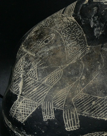 Operaci�n de cabeza, entrando la
                            cabeza, primer plano