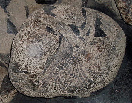 Liver surgery 04, close-up