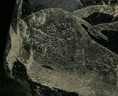 Belly surgery 01,
                  close-up