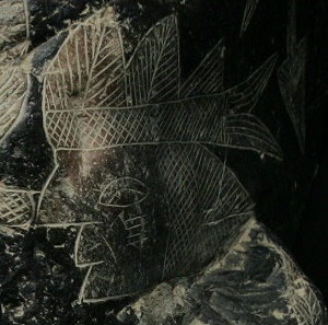 Belly surgery 01, close-up of the face
                            of the surgeon