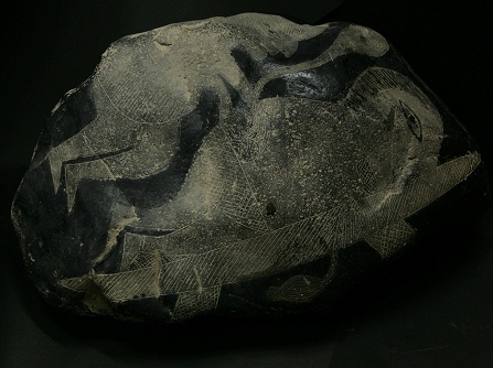 Operaci�n de ri��n