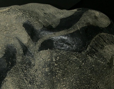 Operaci�n de ri��n,
                  primer plano