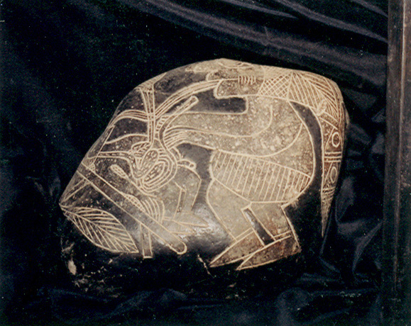 Operaci�n del
                          intestino