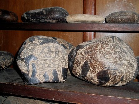 Cow with calf - and a horse