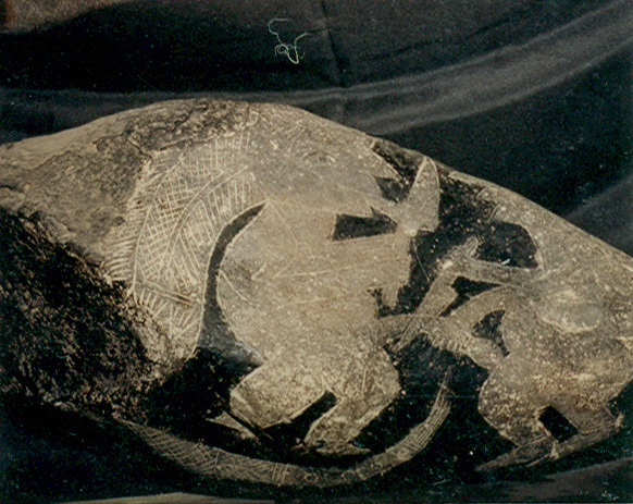 Cutting
                      of a penis 01