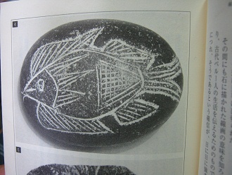 Libro sobre las piedras con una piedra
                          con un pez