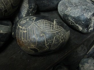 Dinosaurier �hnlich einer Schildkr�te