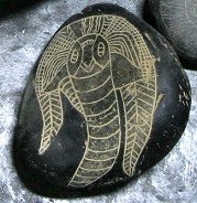 A shrimp (?) A
shrimp (?)