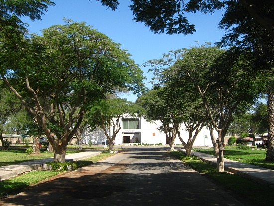 Der Park und der Weg zum Eingang des
                            Museumsgebudes