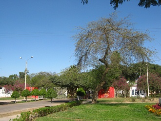 La zona antes del museo con la puerta
                            de entrada y con el muro 01