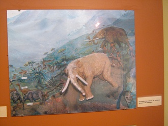 J�gerkultur,
                            Ureinwohner gegen elefanten�hnliche
                            R�sseltiere