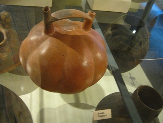 Botella de zapallo marr�n 01