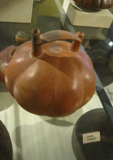 Botella de zapallo marr�n 02