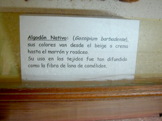 Texto sobre algod�n en la cultura
                            Par�cas