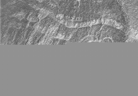Region Palpa, Geoglyph mit einem M�nnchen
                          mit Antennen