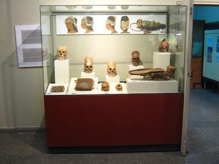 Showcase with deformed skulls (long
                            skulls) of Paracas culture