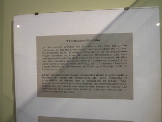 El texto sobre los cr�neos deformados
                            (cr�neos largos) en la cultura Par�cas en
                            espa�ol