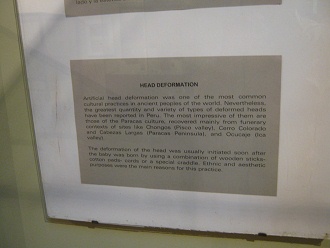 El texto sobre los cr�neos deformados
                            (cr�neos largos) en la cultura Par�cas en
                            ingl�s