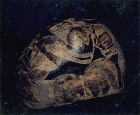 Operación de
cabeza, marcan el lugar de la corte
con un círculo Operación de
cabeza, marcan el lugar de la corte
con un círculo