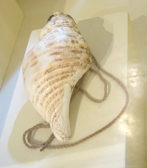 Sea snail horn
                                    "Pututo" /
                                    "Pututu" 02