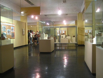 Grupo
                          con gua en el museo