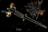 Nasca, the line image of the lizard next
                          to the tree