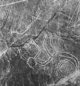 Nazca, line image of the monkey