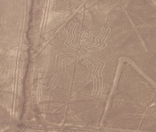 Nazca, line image of the spider in the
                          Nazca desert