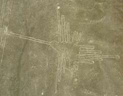 Nasca, the line image of the hummingbird