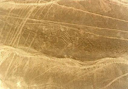 And here is the original orca of
                                  the Nazca lines in the desert