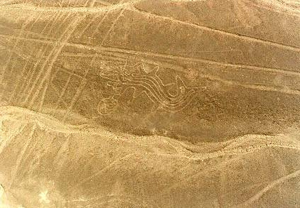 Y las lneas de Nazca muestran el
                                  orca as