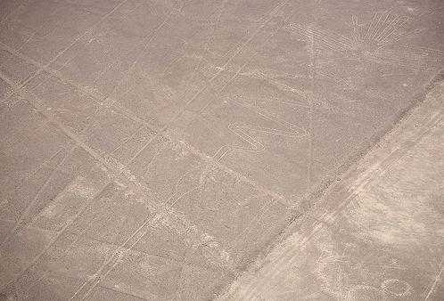 Nasca, line image of the heron (flamingo,
                          arum) in the Nazca desert [7], length: 300
                          meters, width: 54 meters [web01]