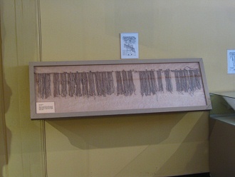 Vitrine mit Rechenschn�ren
                              ("quipus") 02