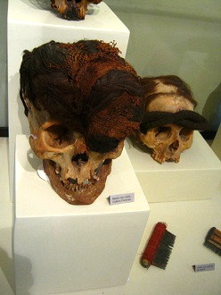 A hair cut
                          of Paracas culture