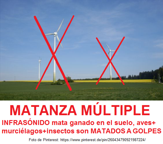 Molinos elicos grandes en
                              campos provocan la MATANZA MLTIPLE con
                              ganado, aves, murcilagos e insectos:
                              INFRASNIDO mata ganado en el suelo,
                              aves+murcilagos+insectos son MATADOS A
                              GOLPES