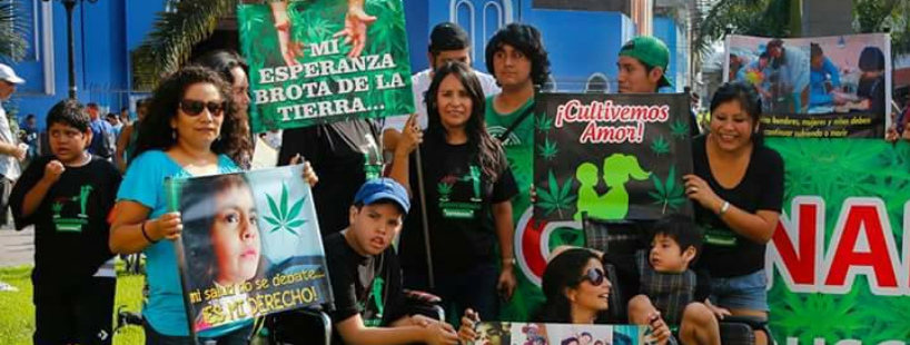 Grupo "Colectivo Buscando
                              Esperanza", foto titular en Facebook