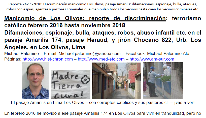 Ttulo del reporte del 24-11-2018 sobre
                          elmanicomio de Los Olivos en el pasaje
                          Amarilis febrero 2016 hasta noviembre 2018