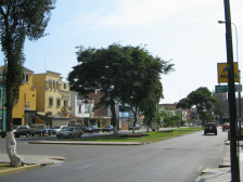 Jesus Maria: Avenida Cuba, Baumgestalt