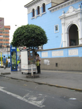 Anfahrt im Bezirk Brea, Avenida Ugarte,
                          Strassenladen mit Baum