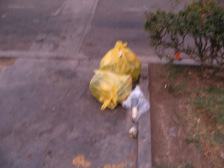 Avenida Urteaga, bolsas de basura al
                        rincn