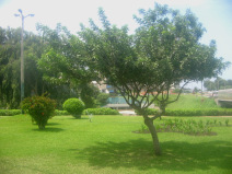 Miraflores, Park beim Malecon Balta mit
                          Rasensprenger